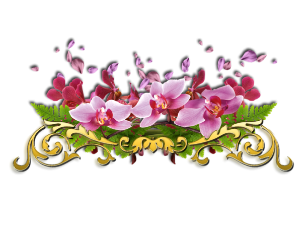 Цветочные уголки на прозрачном фоне