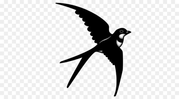 Ласточка для детей