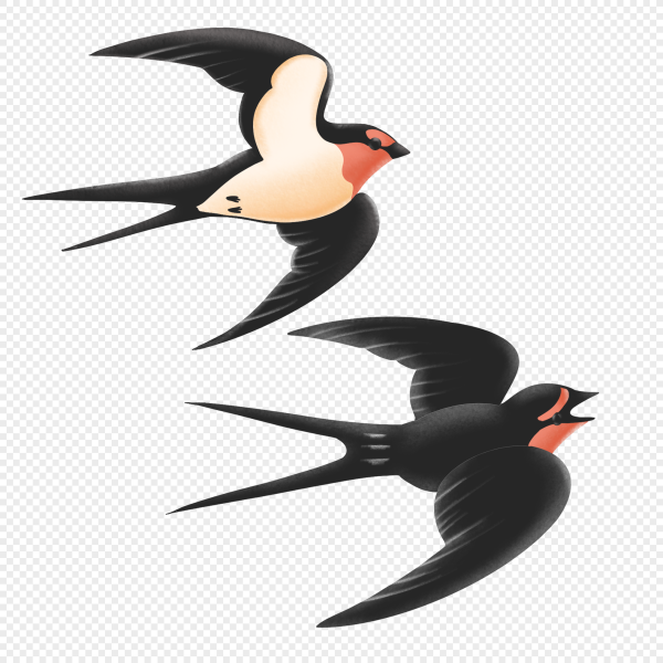 Рисунок ласточки в полете