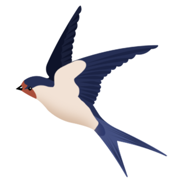 Ласточка для детей