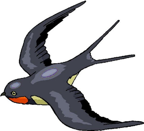 Ласточка картинка