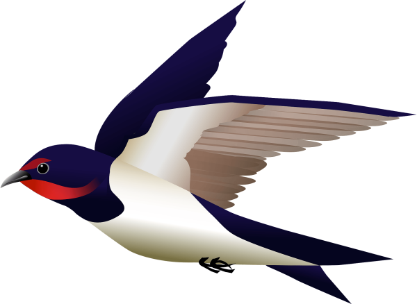 Ласточка картинка для детей