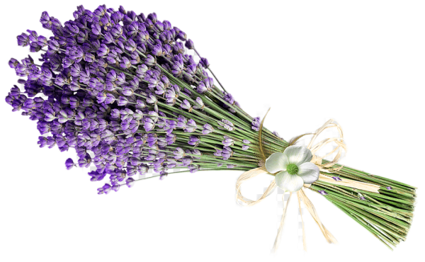 Лаванда букет