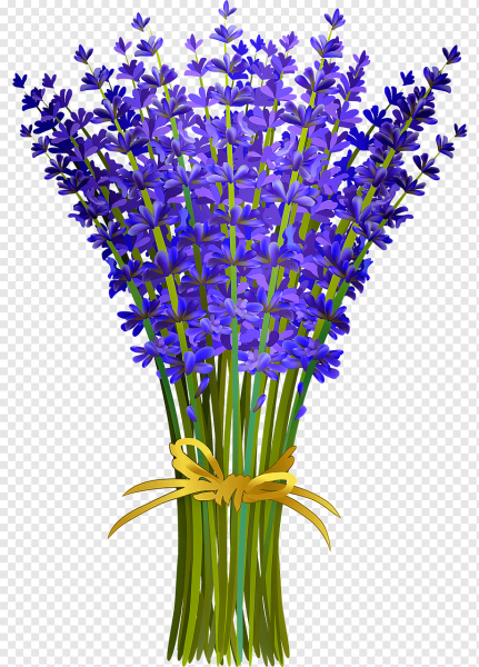 Фиолетовые цветы