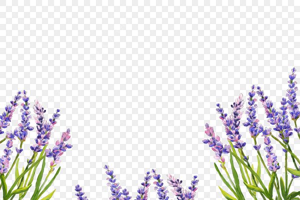 Лаванда рамка для фотошопа