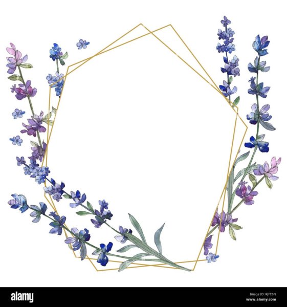 Фоторамка с лавандой