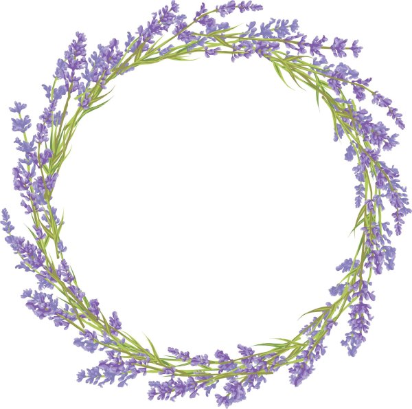 Лаванда рамка