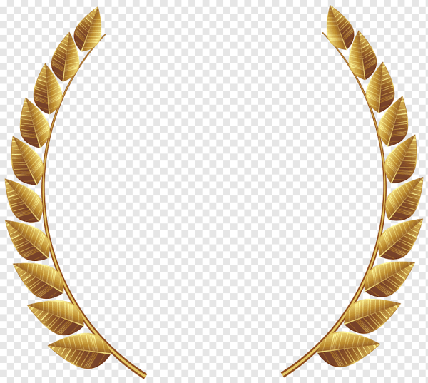 Рамка из лаврового венка