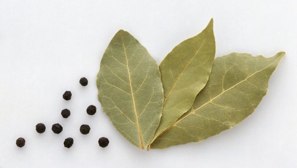 Лавровый лист 500гр