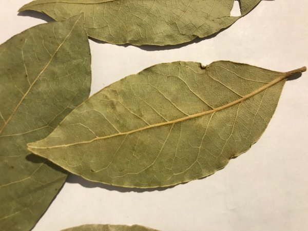 Лист лавровый Камис 5г