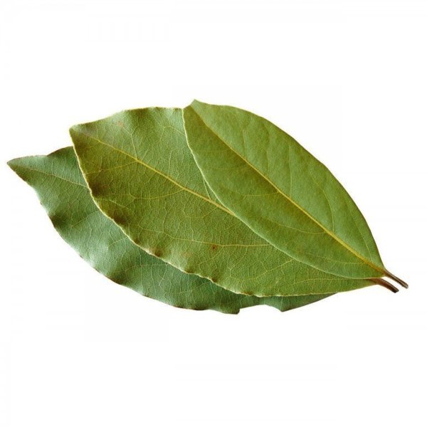 Лавровые листочки