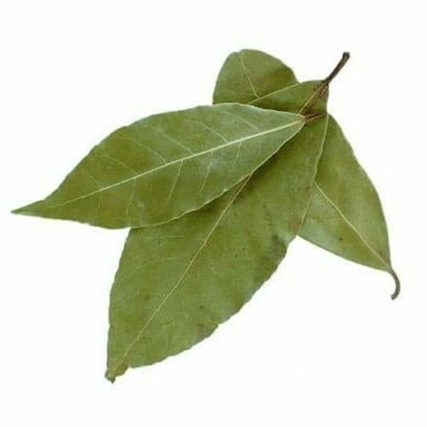 Листья Лавра