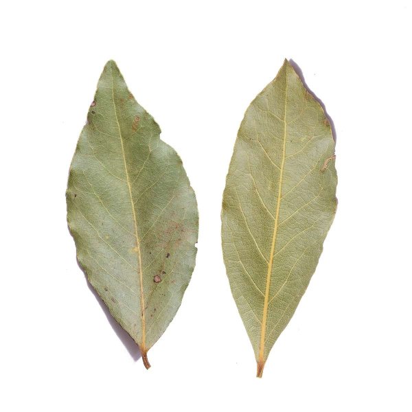 Лавровый лист