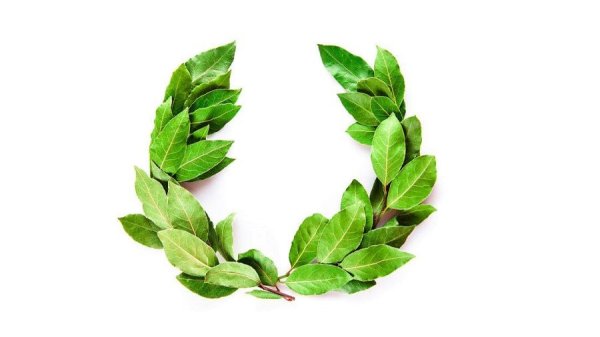 Лавровый лист