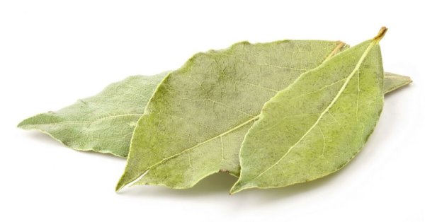 Лавровый лист сушеный