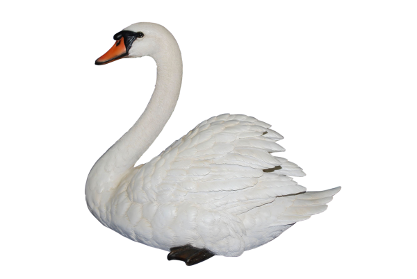 Лебедь для детей