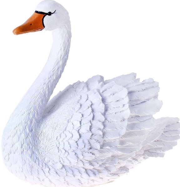 Белый лебедь на белом фоне