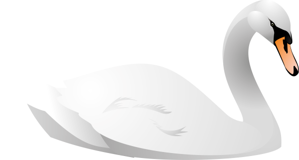 Лебедь на белом фоне