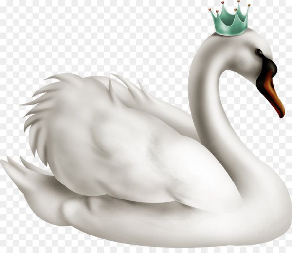Лебедь с короной