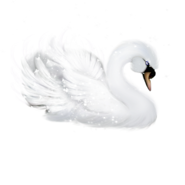 Лебедь клипарт на прозрачном фоне