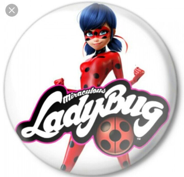 Леди баг надпись