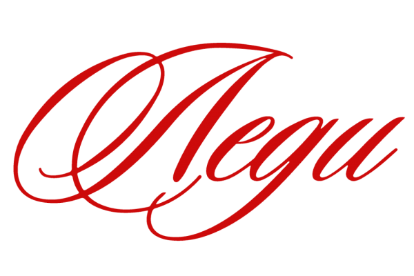 Логотип Lady салон красоты