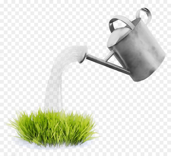 Поливает из лейки