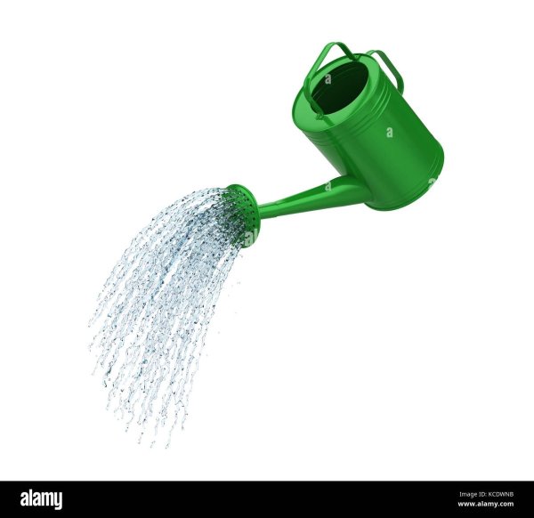 Лейка с водой на белом фоне