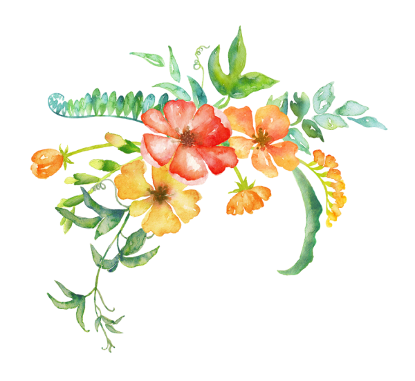 Lenagold клипарт цветы