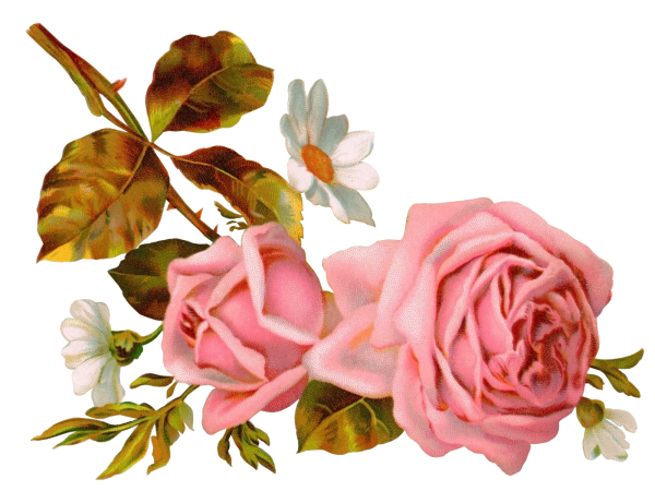 Винтажные цветы для фотошопа