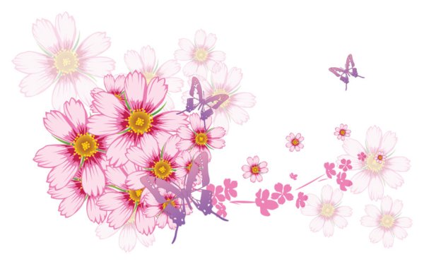 Нежные цветочки на прозрачном фоне