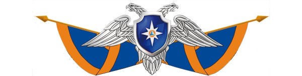 Академия гражданской защиты МЧС России эмблема