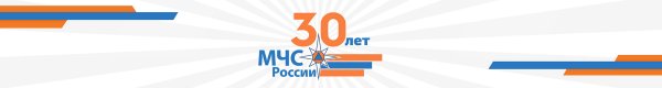 30 Лет МЧС России официальный логотип