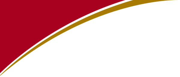 Бордовые линии на прозрачном фоне