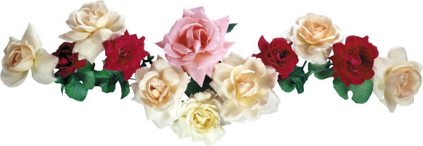 Полоса из цветов