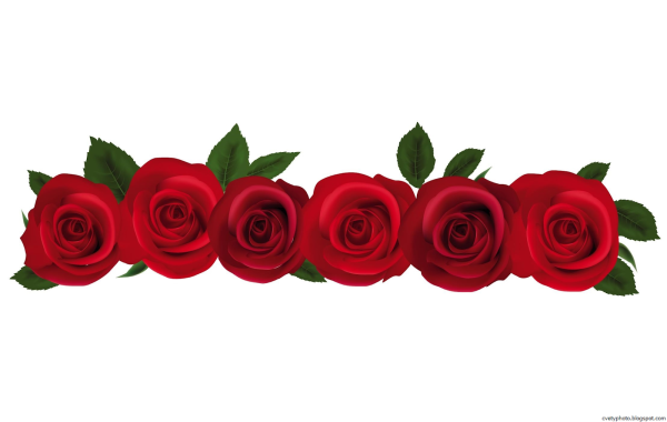 Полоска из роз