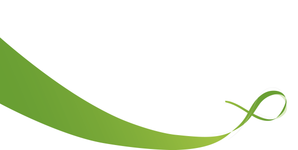 Белый фон с зелеными линиями