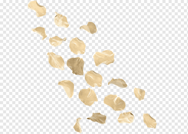 Белые лепестки на белом фоне