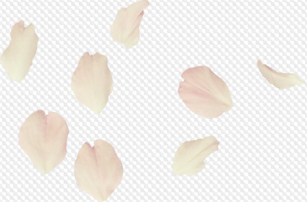 Белые лепестки