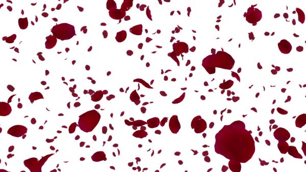 Лепестки роз паттерн