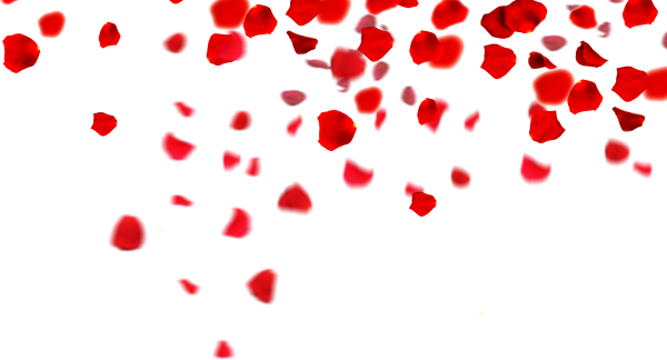 Лепестки роз