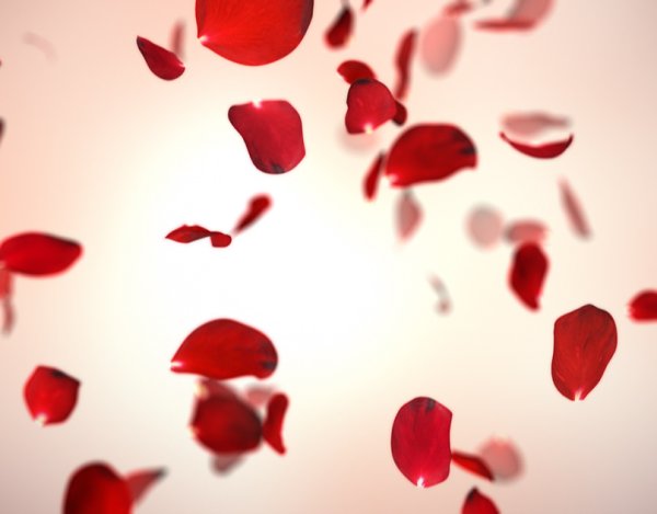 Лепестки роз летают