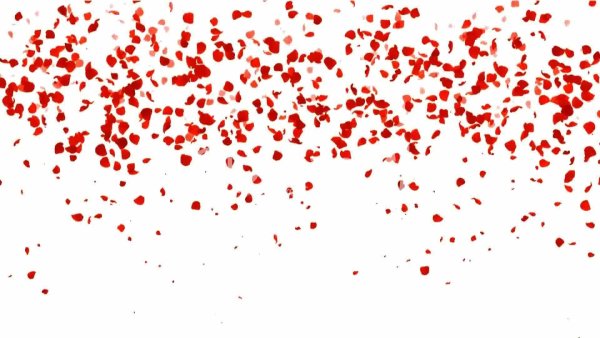 Падающие лепестки роз