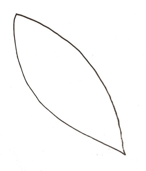 Шаблоны листочков для цветов