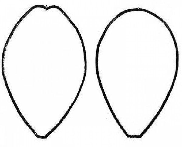 Лепесток шаблон