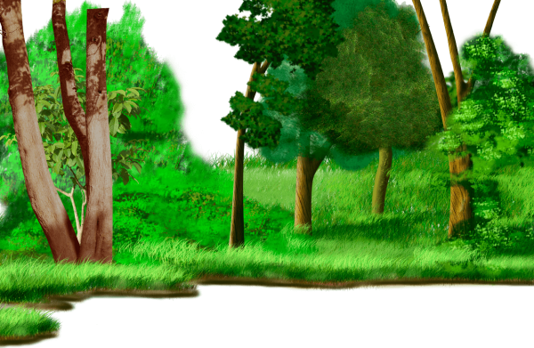 Клипарт лес на прозрачном фоне
