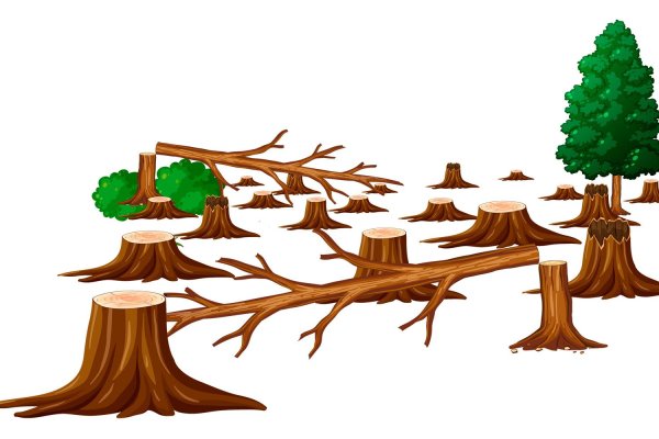 Вырубка леса для детей