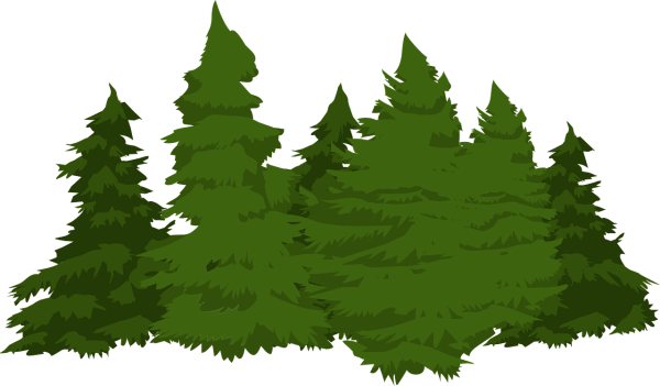Деревья лес вектор