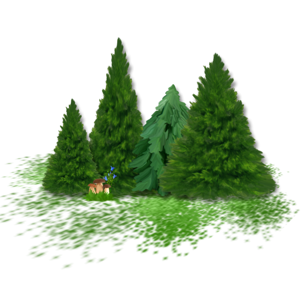 Клипарт лес на прозрачном фоне