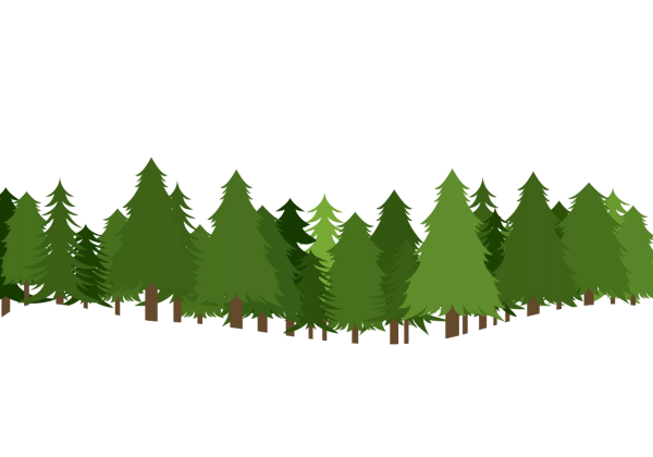 Лес на белом фоне